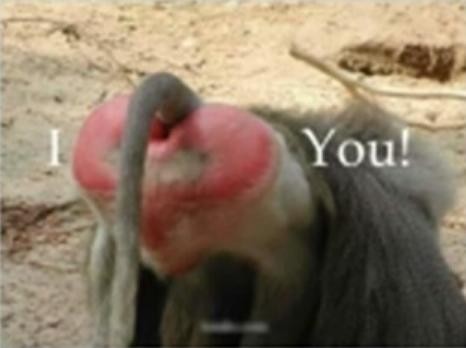 I LOVE YOU!!!
