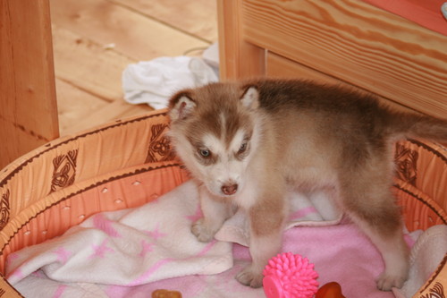 Luckyy^^