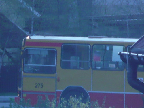bus