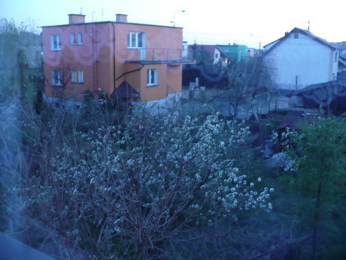spring