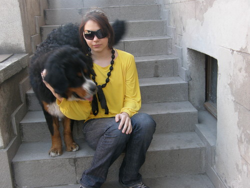 my dog