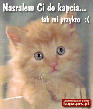 Nie miaem innego...