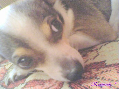 kacperek :):):):)