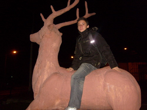 jele