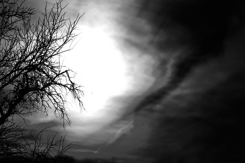 Fear of the Dark