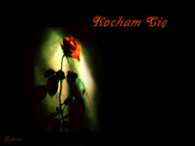 kocham cie 