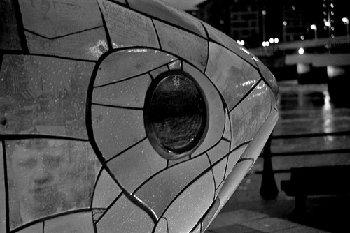 Big fish Belfast