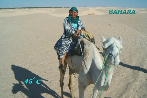 Tunezja - Sahara