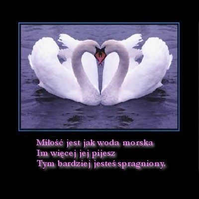 ...................:*