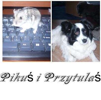 Piku i Przytula:-)