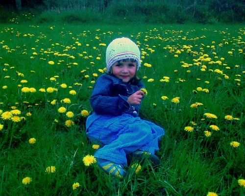 maa wiosna