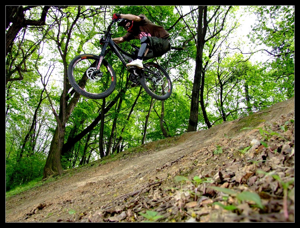 FreeRide