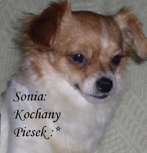 Sonia: Kochany Piesek 
