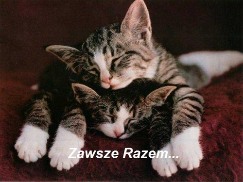 To ja i kto jeszcze...