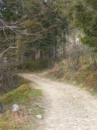 Szczyrk