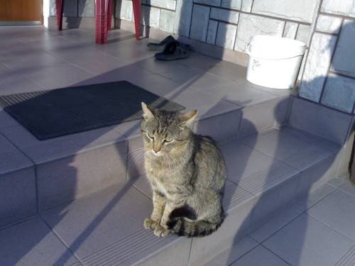 Waciu :D