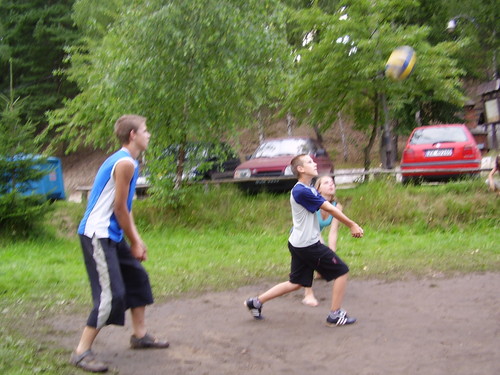 siatkwka
