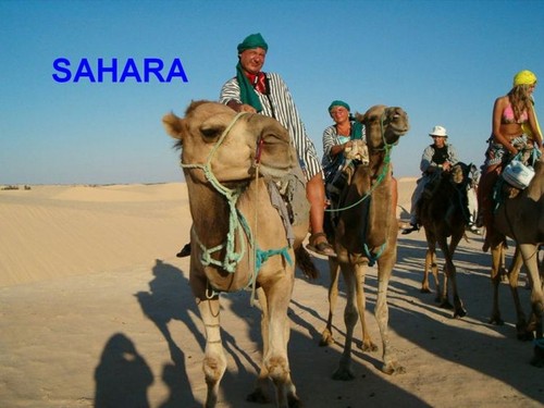 Tunezja - Sahara