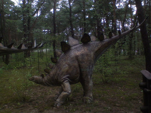 Dinozaur.
