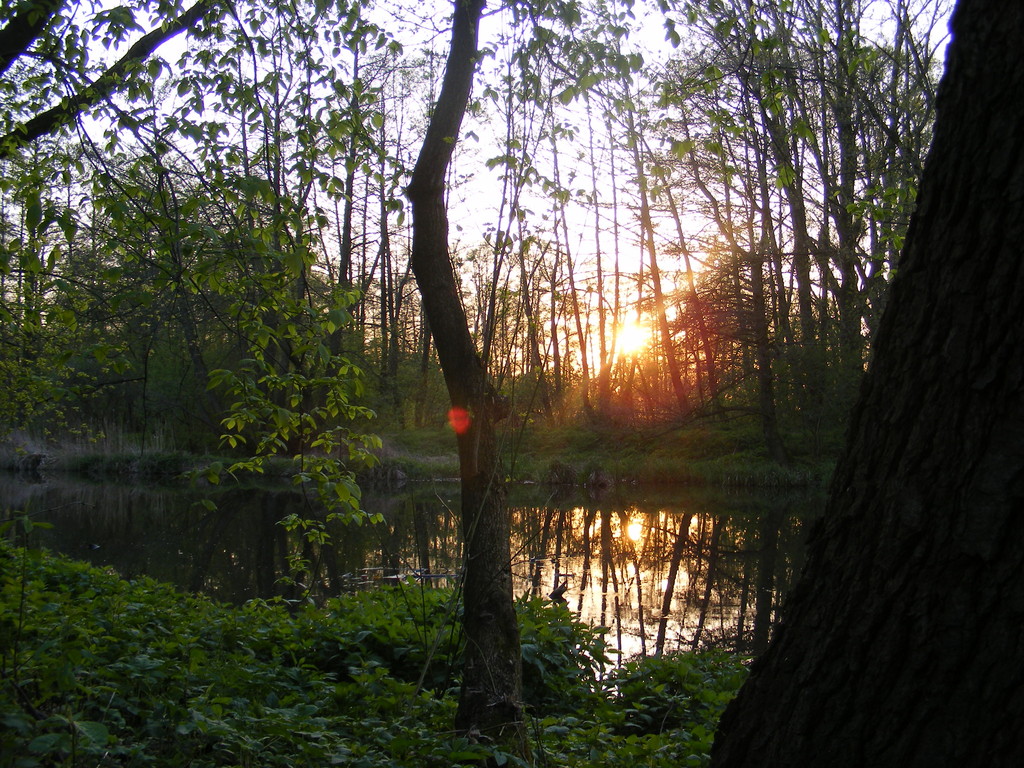 Park Konstancin Jeziorna