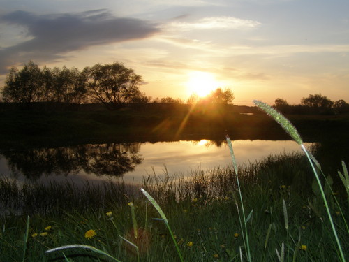 Majwka '08