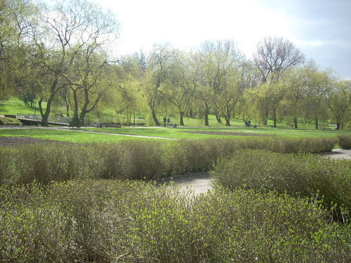 Wspaniae popoudnie.