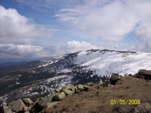 WIDOK