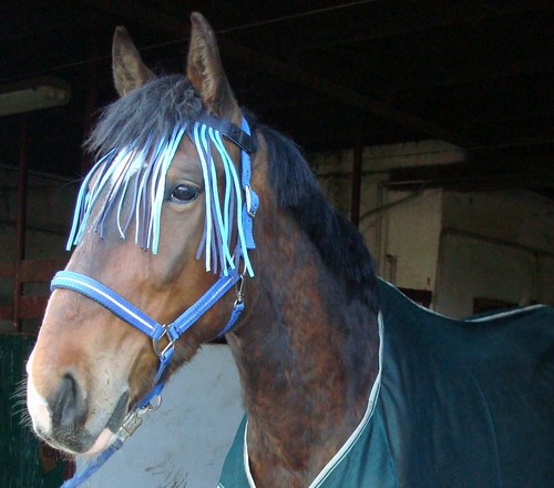 Ksie :*
