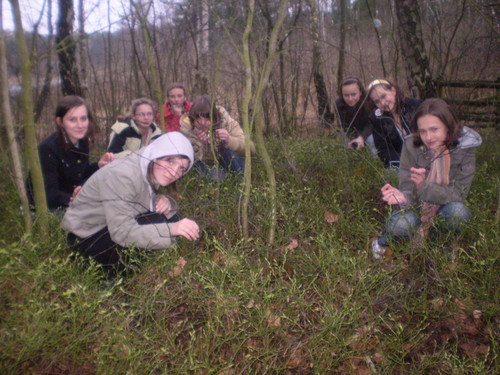 Zagubine w puszczy;*