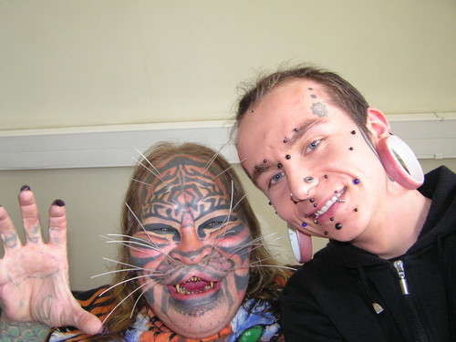 stalking cat