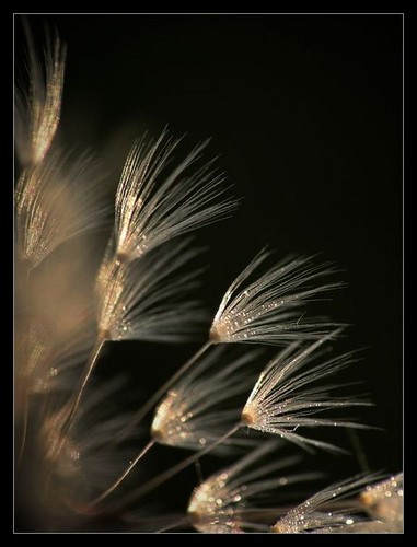 ,, bo tak.
