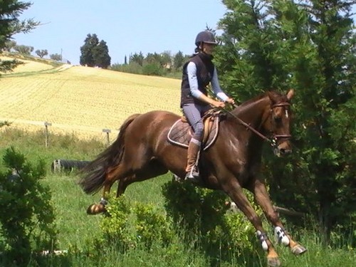 sonia na bohunie