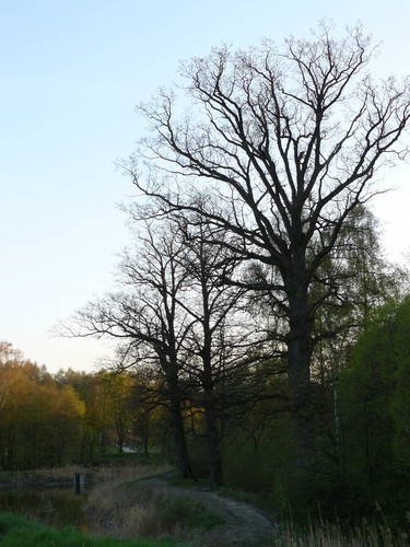 Pikniejsze strony Poniatowej 1