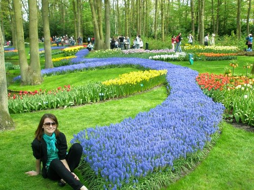 pretty flowers :)