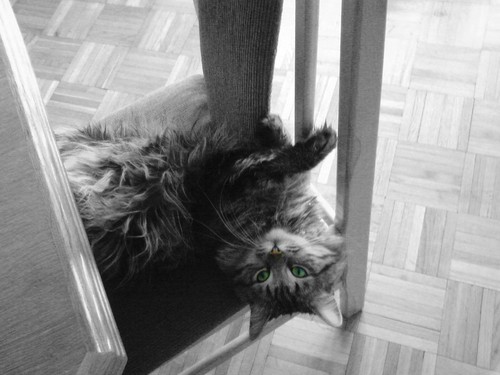 Lenin ;0