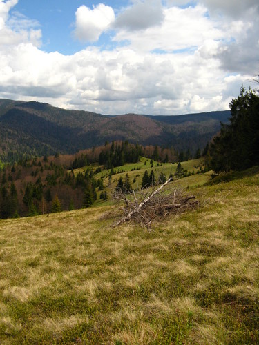 Turbaczyk