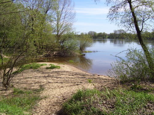 spacerek nad wisla