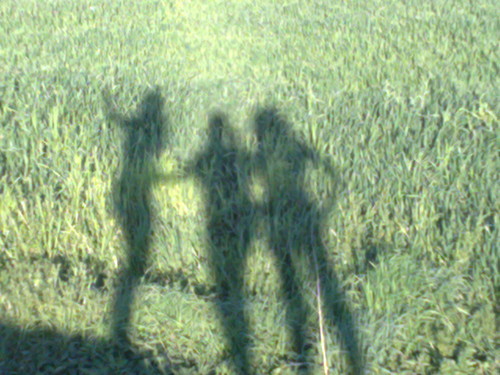 Kocham.