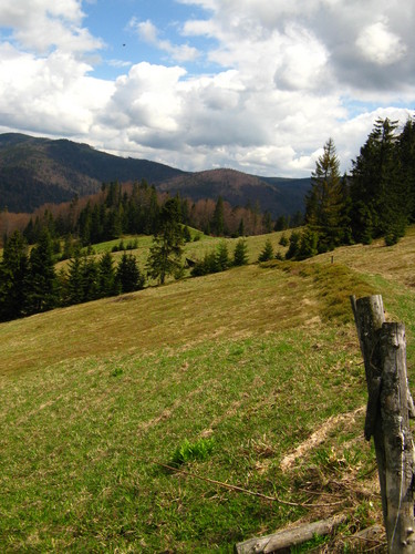 Turbaczyk