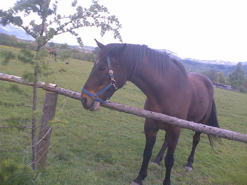 Milusiooo:D