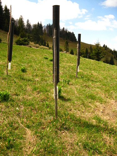 Turbaczyk
