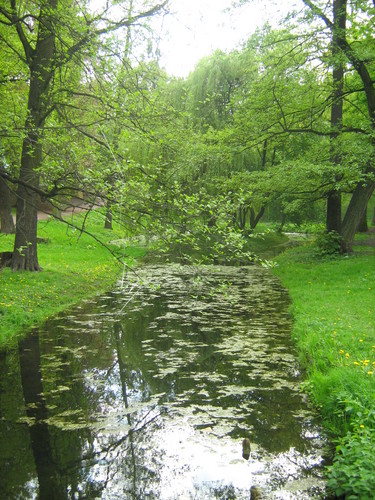 Brzeg 2008