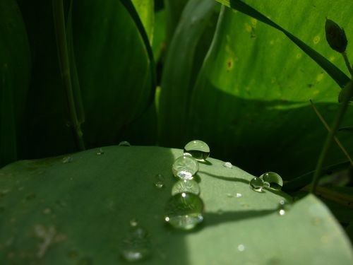 Crying in the rain