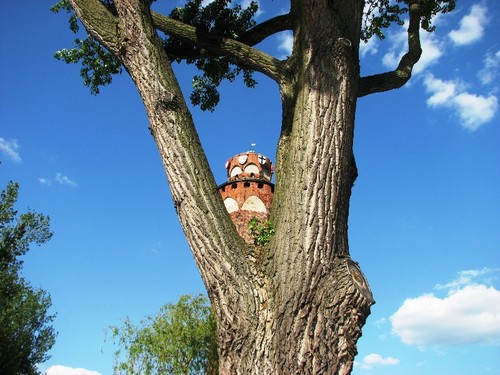troszke koloru