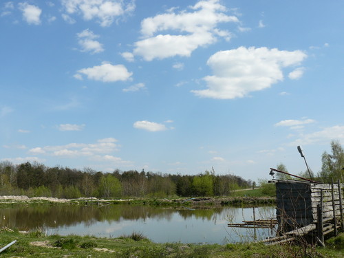 Widoczek.