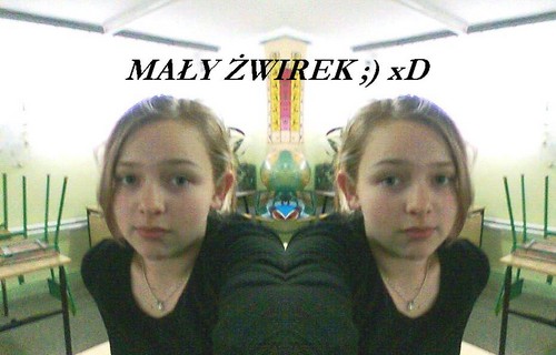 Mayyy wirek 