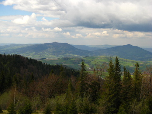 Turbaczyk