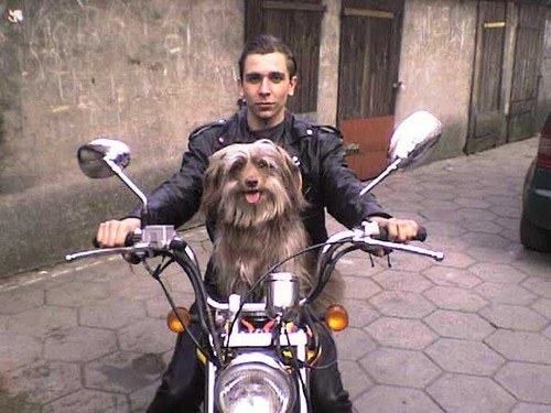 No to w drog...................