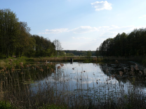Pikniejsze strony Poniatowej 3