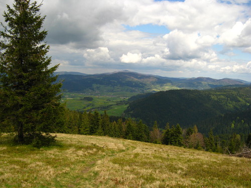 Turbaczyk